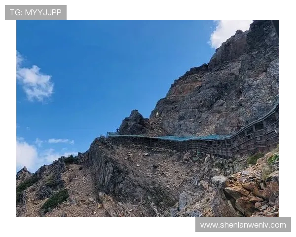 刘敏独家分享攀岩技巧与心得助你轻松征服高峰