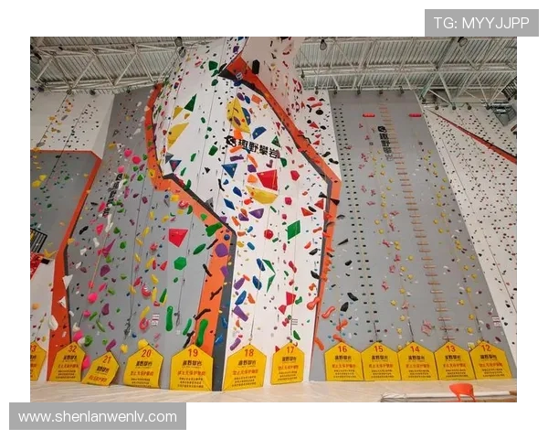 广州极限运动队在极限运动会中的精彩表现与力量分析