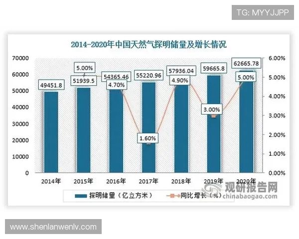 数据分析在液化天然气行业中的个人能力提升与表现研究