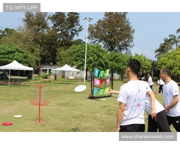 飞盘运动的崛起与挑战：深圳飞盘队的运营模式全解析